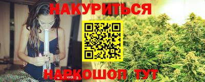 гидра Будённовск