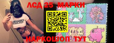 гидра Будённовск