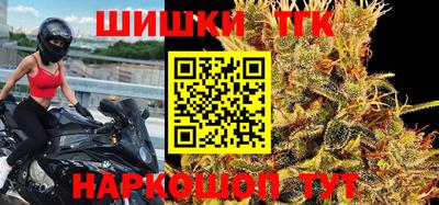 гидра Будённовск