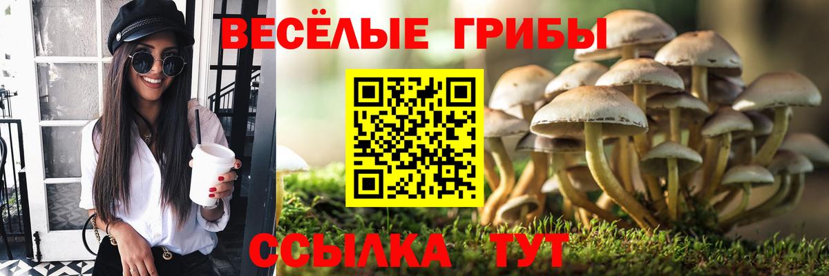 Тихвин  Галлюциногенные грибы Magic Shrooms  Вход с VPN 